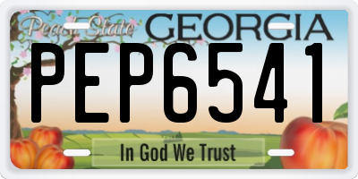 GA license plate PEP6541