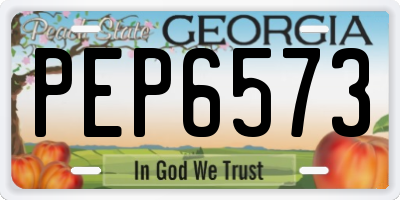 GA license plate PEP6573