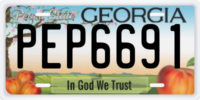 GA license plate PEP6691