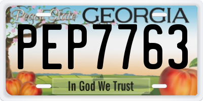 GA license plate PEP7763