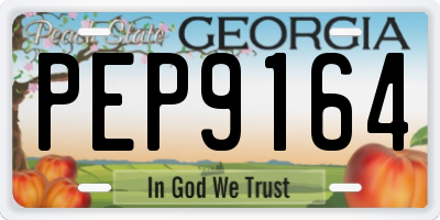 GA license plate PEP9164
