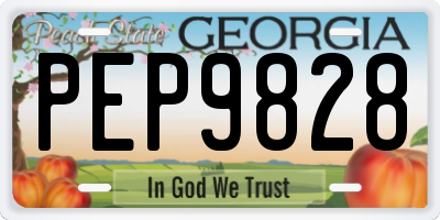 GA license plate PEP9828