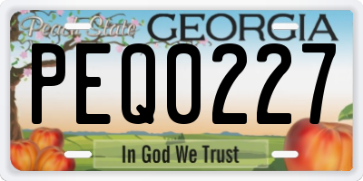 GA license plate PEQ0227