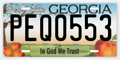 GA license plate PEQ0553