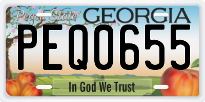 GA license plate PEQ0655