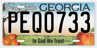 GA license plate PEQ0733