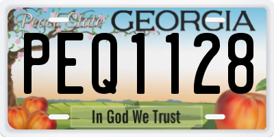 GA license plate PEQ1128