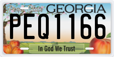 GA license plate PEQ1166