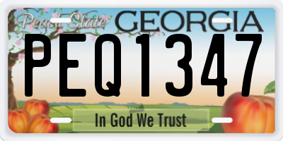 GA license plate PEQ1347