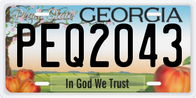 GA license plate PEQ2043