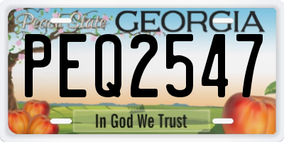 GA license plate PEQ2547