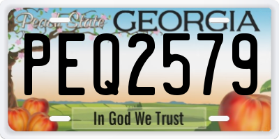 GA license plate PEQ2579