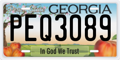 GA license plate PEQ3089
