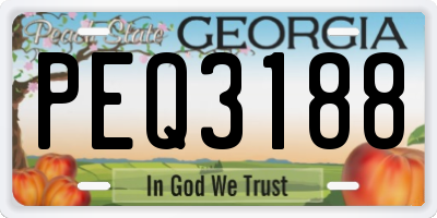 GA license plate PEQ3188