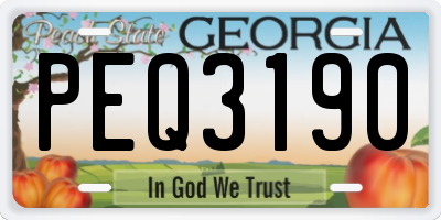 GA license plate PEQ3190