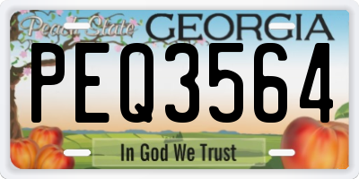 GA license plate PEQ3564
