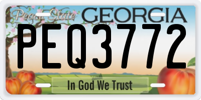 GA license plate PEQ3772