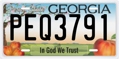 GA license plate PEQ3791