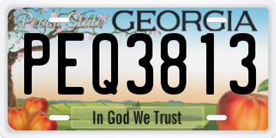 GA license plate PEQ3813
