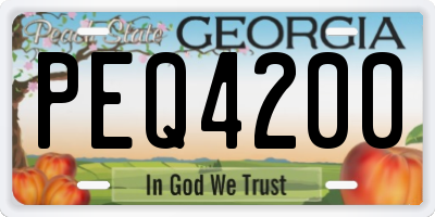 GA license plate PEQ4200