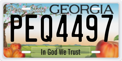 GA license plate PEQ4497