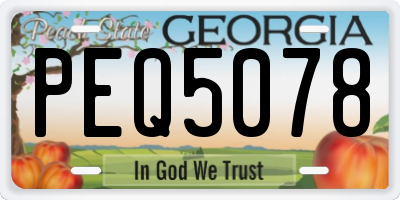 GA license plate PEQ5078