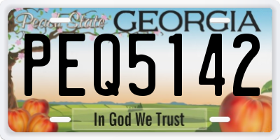 GA license plate PEQ5142