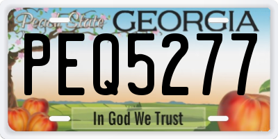 GA license plate PEQ5277