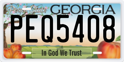 GA license plate PEQ5408