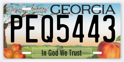 GA license plate PEQ5443