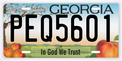 GA license plate PEQ5601