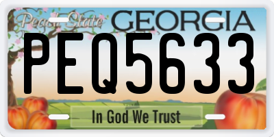 GA license plate PEQ5633