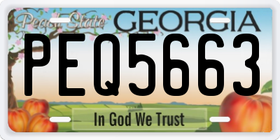 GA license plate PEQ5663