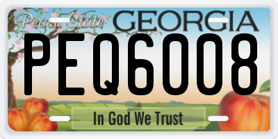 GA license plate PEQ6008