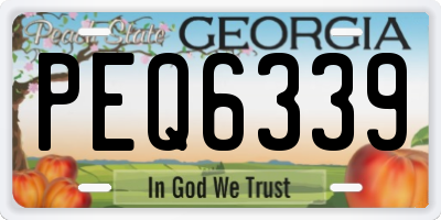 GA license plate PEQ6339