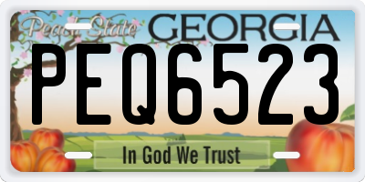 GA license plate PEQ6523
