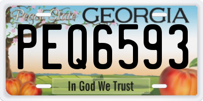 GA license plate PEQ6593