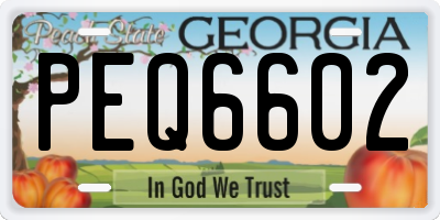 GA license plate PEQ6602