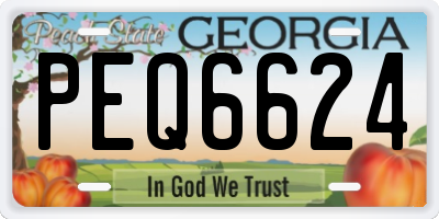 GA license plate PEQ6624