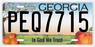 GA license plate PEQ7715