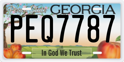 GA license plate PEQ7787