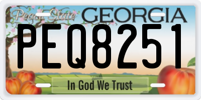 GA license plate PEQ8251