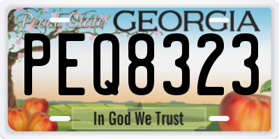 GA license plate PEQ8323