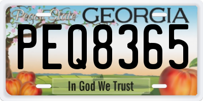 GA license plate PEQ8365