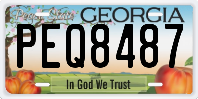 GA license plate PEQ8487