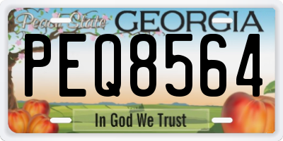 GA license plate PEQ8564