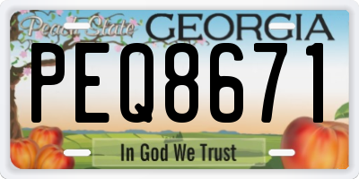 GA license plate PEQ8671