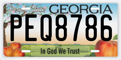 GA license plate PEQ8786