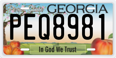 GA license plate PEQ8981