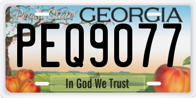 GA license plate PEQ9077